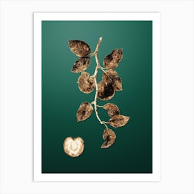 Gold Botanical Apricot on Dark Spring Green n.4259 Art Print