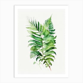 Huperzia Fern Watercolour Art Print