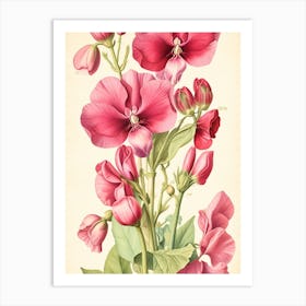 Pink Geraniums Art Print