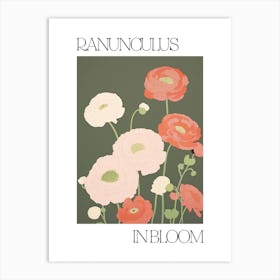 Ranunculus In Bloom Flowers Bold Illustration 4 Art Print