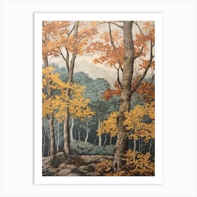 Gray Birch 1 Vintage Autumn Tree Print  Art Print
