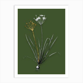 Vintage Allium Straitum Black and White Gold Leaf Floral Art on Olive Green n.0397 Art Print