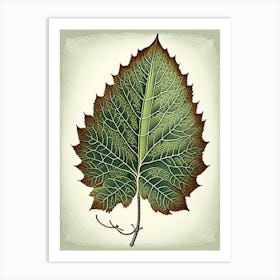 Birch Leaf Vintage Botanical 3 Art Print
