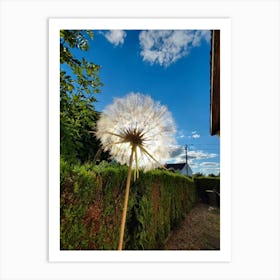 Dandelion Art Print