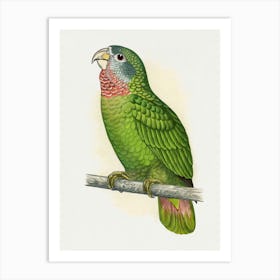 Parrot 15 Art Print