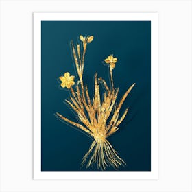 Vintage Yellow Eyed Grass Botanical in Gold on Teal Blue n.0079 Art Print