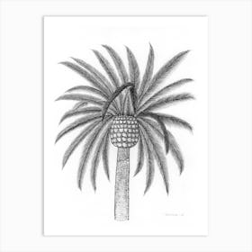 Palm Tree Leaves Drawing Art Print