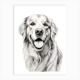 Golden Retriever Dog, Line Drawing 3 Art Print