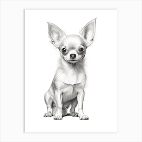 Chihuahua Dog, Line Drawing 2 Art Print