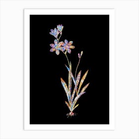 Stained Glass Ixia Grandiflora Mosaic Botanical Illustration on Black n.0281 Art Print
