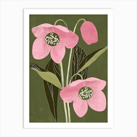 Pink & Green Hellebore 1 Art Print
