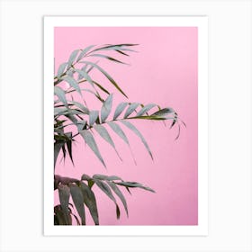 La Muralla Botanical Art Print