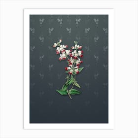 Vintage Two Colored Collinsia Botanical on Slate Gray Pattern n.0197 Art Print