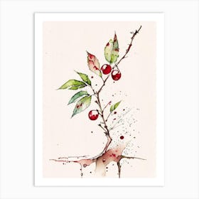 Wild Cherry Bark Herb Minimalist Watercolour 3 Art Print