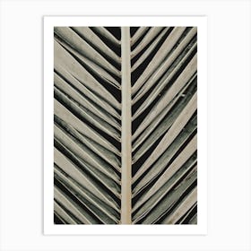 Palm Leaves_2192470 Art Print