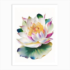 Lotus Flower Petals Decoupage 5 Art Print
