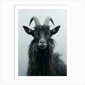Mountain Goat Art Print