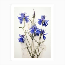 Pressed Wildflower Botanical Art Lobelia 2 Art Print