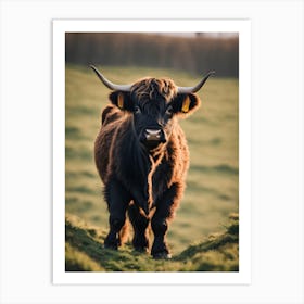 Highland Cow 19 Art Print