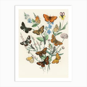 Butterflies And Flowers Art Print