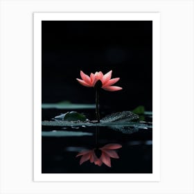 Lotus Flower 15 Art Print