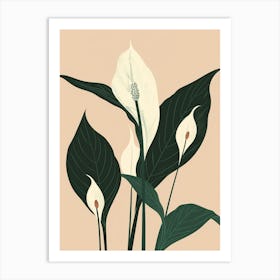 Peace Lily Plant Minimalist Illustration 8 Art Print