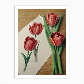 Tulips 4 Art Print