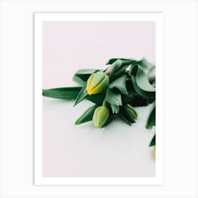 Tulips In The Snow Art Print