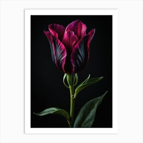 Dark Tulip Art Print