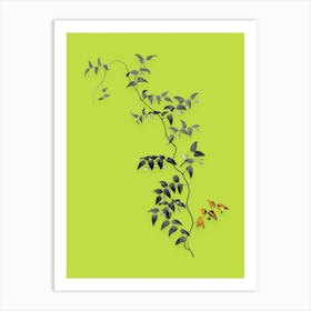 Vintage Bridal Creeper Black and White Gold Leaf Floral Art on Chartreuse n.0026 Art Print