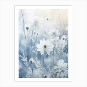 Frosty Botanical Love In A Mist Nigella Art Print