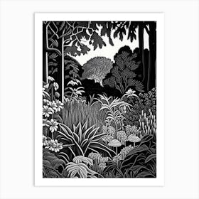 Denver Botanic Gardens, Usa Linocut Black And White Vintage Art Print