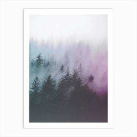 Pacific Northwest Forest Adventures Art Print