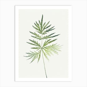 Hemlock Needle Leaf Minimalist Watercolour 1 Art Print