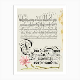 Cuckoo Flower From Mira Calligraphiae Monumenta, Joris Hoefnagel Art Print