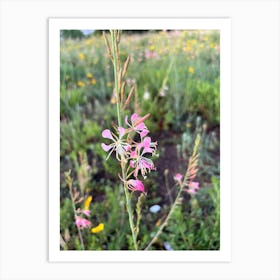 Pink Wildflowers. - photography Art Print