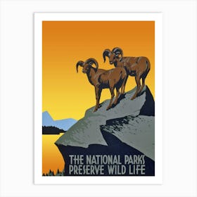 National Parks Preserve Wildlife, USA Vintage Poster Art Print