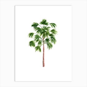 Windmill Palm Tree Art Print