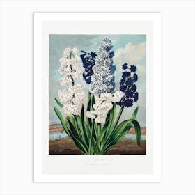 Vintage Botanical Temple Of Flora _2476824 Art Print