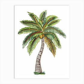 Palm Tree 39 Art Print