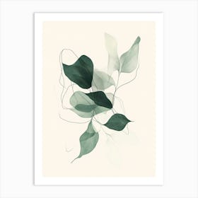 Eucalyptus 1 Art Print