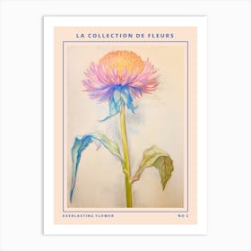 Everlasting Flower 2 French Flower Botanical Poster Art Print