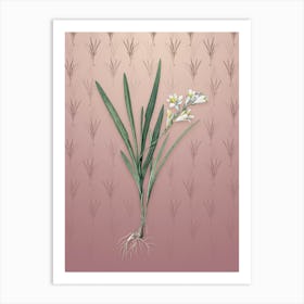 Vintage Gladiolus Xanthospilus Botanical on Dusty Pink Pattern n.0953 Art Print