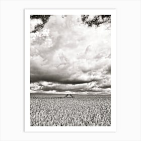 Field Barley Skyscape (2008) Art Print