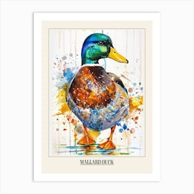 Mallard Duck Colourful Watercolour 4 Poster Art Print