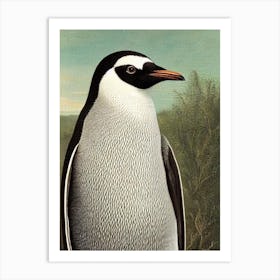 Penguin Haeckel Style Vintage Illustration Bird Art Print