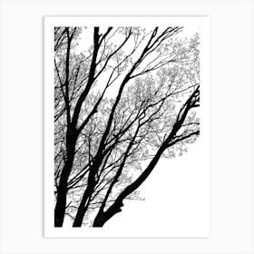 Black And White Tree Silhouette Art Print