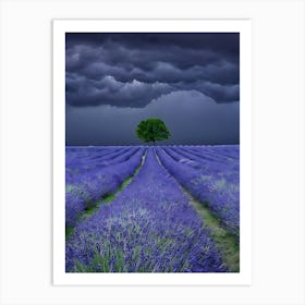 Lavender Field 10 Art Print