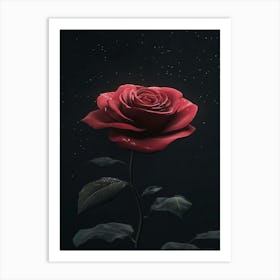 Red Rose 24 Art Print