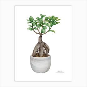 Bonsai Tree.A fine artistic print that decorates the place. Art Print